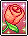 Giant Rose Card