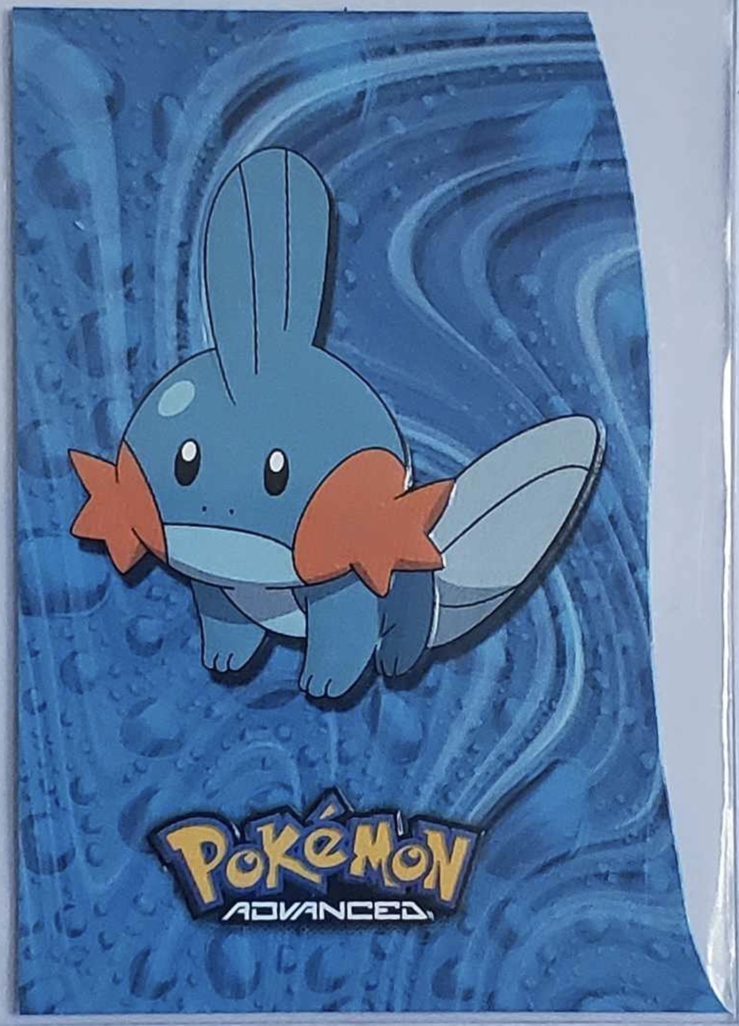 Mudkip