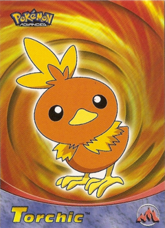 Torchic