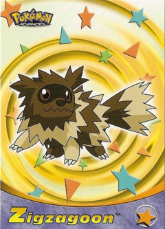 Zigzagoon