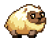 Sheepie