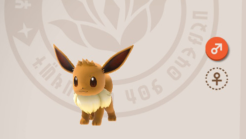 new eevees pokemon star